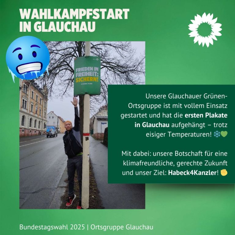 Bundestags- Plakat- Wahlkampf